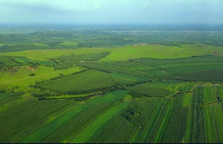我國重要的糧食產地，奮斗50年才有的北大倉，為何退耕還荒不種了