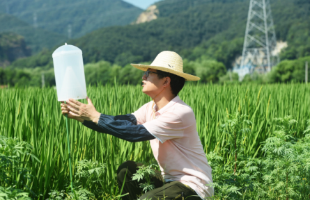 農(nóng)業(yè)綠色發(fā)展 green development of the agricultural sector