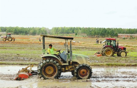 江西吉水：萬臺農(nóng)機鬧春耕 智能種田“科技范”