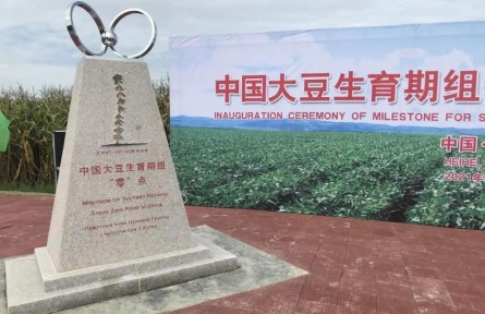 中國(guó)大豆“零”點(diǎn)標(biāo)識(shí)碑“定”在黑龍江黑河