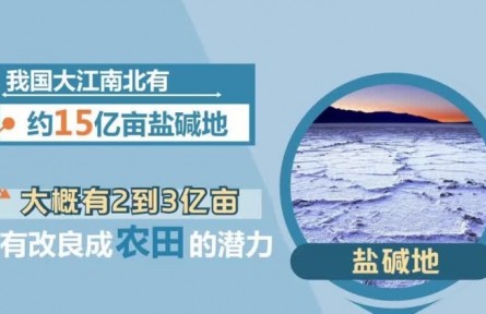 豐收小課堂：我國(guó)有2億多畝鹽堿地有改良成農(nóng)田的潛力