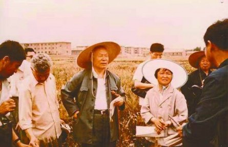 蔡旭：一生守望麥田 他擁有“抗棍棒”的小麥人生