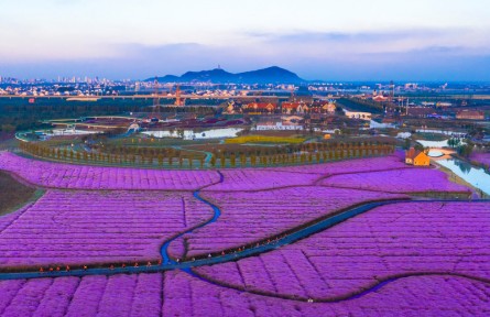 第十屆全國農(nóng)民攝影大展作品：美麗川星奔小康