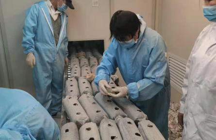 昆明食用菌研究所科技人員赴陜西柞水指導(dǎo)金耳栽培生產(chǎn)