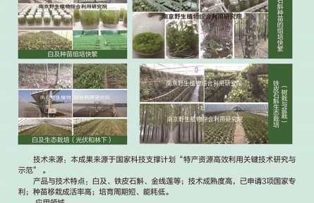 功能性植物種苗工廠化組培快繁、生態(tài)立體種植及高值產(chǎn)品開發(fā)