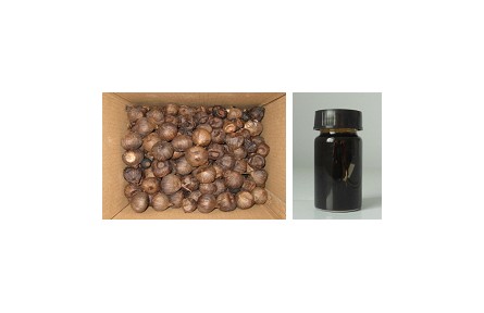 79、成果名稱：黑蒜汁及副產(chǎn)物綜合利用技術(shù)