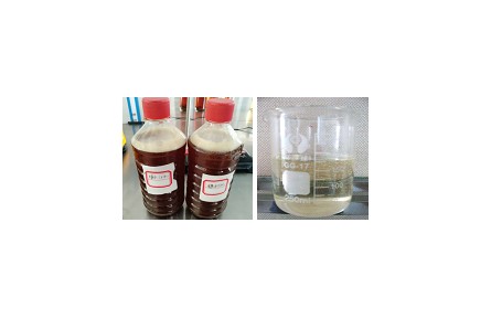 59、成果名稱：果脯蜜餞加工廢糖液回收利用關(guān)鍵技術(shù)