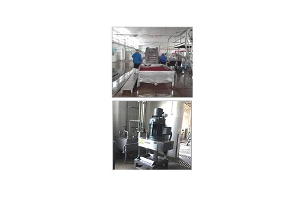 33、成果名稱：超細(xì)高濃紅棗漿加工關(guān)鍵技術(shù)