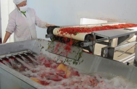 31、成果名稱：高胡蘿卜素含量的鮮枸杞濃縮漿生產(chǎn)技術(shù)