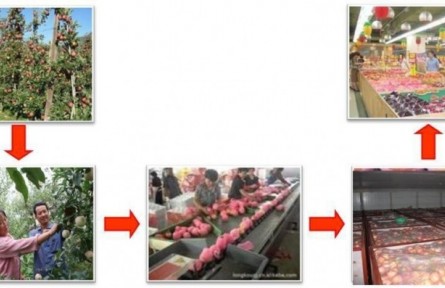 1、成果名稱：蘋果采收分級及貯藏保鮮關(guān)鍵技術(shù)