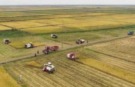 全國(guó)冬小麥播種過九成 面積有望保持穩(wěn)定