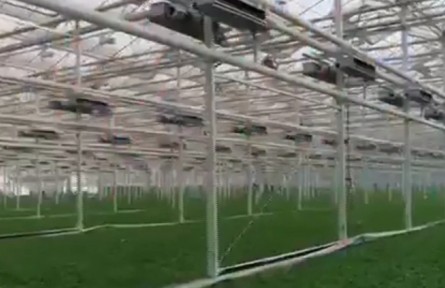 陜西：創(chuàng)新“云端”教學模式 為上合組織農(nóng)業(yè)合作基地“披新衣”