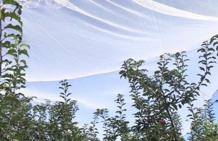 遼寧開原：新“武器”亮相果園 保產(chǎn)增效助果農(nóng)增收