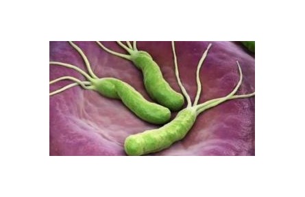 “殺幽牙膏”真能殺滅幽門(mén)螺旋桿菌嗎？