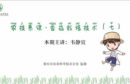 香菇栽培技術(shù)（七）