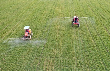 農(nóng)業(yè)農(nóng)村部啟動(dòng)冬小麥“科技?jí)衙纭焙痛蠖褂衩讕顝?fù)合種植技術(shù)服務(wù)活動(dòng)