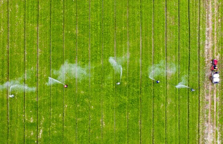 安徽廬江：人勤春來早 小麥田管忙