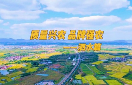 山東濟寧泗水縣：強化品牌農(nóng)業(yè)建設 助力鄉(xiāng)村振興