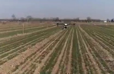 陜西：緊盯弱苗加強(qiáng)返青期田間管理 確保小麥豐產(chǎn)穩(wěn)產(chǎn)