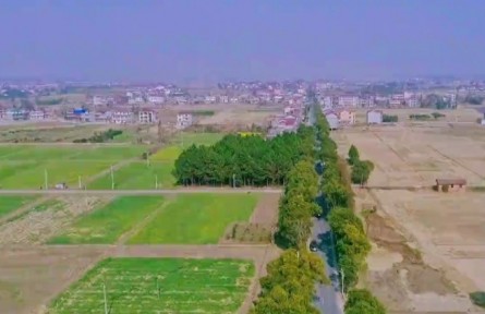 江西南昌：農(nóng)業(yè)豐收 農(nóng)民增收 夯實(shí)共同富?；A(chǔ)