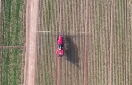 糧食主產(chǎn)區(qū)搶農(nóng)時(shí) 加強(qiáng)冬小麥春管