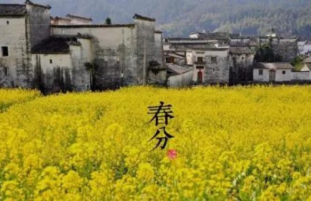 春暖花開，今日春分