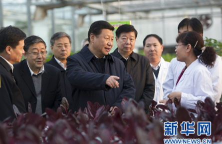習(xí)近平三農(nóng)觀：農(nóng)業(yè)現(xiàn)代化關(guān)鍵在科技進(jìn)步