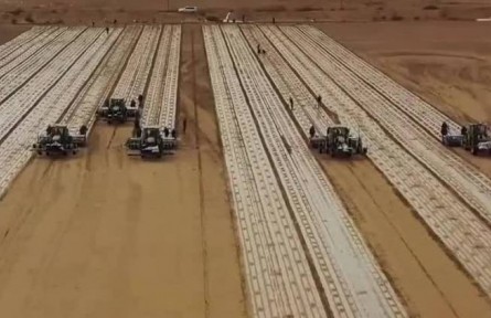 新疆：棉花開播 “干播濕出”技術(shù)節(jié)水增產(chǎn)