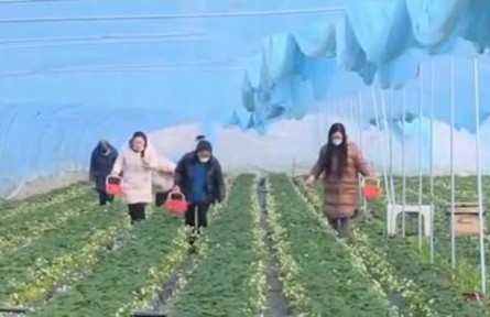 甘肅天水：激活鄉(xiāng)村振興新動(dòng)能 助力群眾持續(xù)增收?