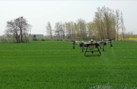 河南許昌：無人機統(tǒng)防統(tǒng)治 確保夏糧豐產(chǎn)豐收