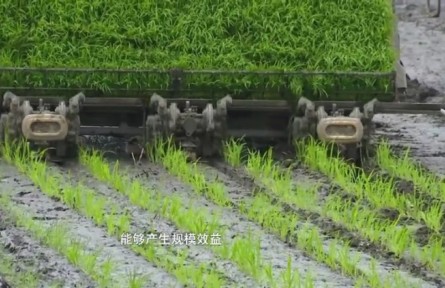 農(nóng)機農(nóng)藝融合關(guān)鍵技術(shù)