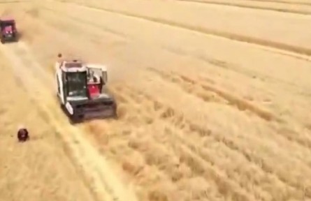 安徽：小麥主產(chǎn)區(qū)完善服務(wù)進(jìn)度快 顆粒歸倉收獲忙