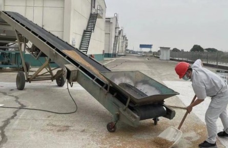 中儲糧：全面啟動中央儲備糧輪入收購