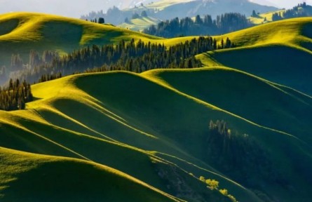 自然文學、生態(tài)文學的價值坐標與現(xiàn)實之維