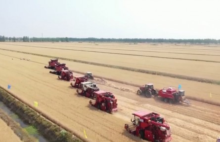 全國(guó)小麥大規(guī)模機(jī)收基本結(jié)束 2022年夏糧豐收成定局