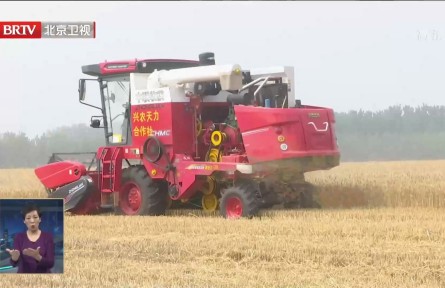 北京27萬(wàn)畝小麥開鐮收割