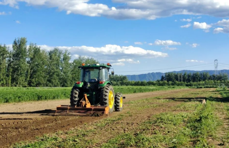 北京首個生產(chǎn)型蔬菜無人農(nóng)場 窺見數(shù)字農(nóng)業(yè)的未來