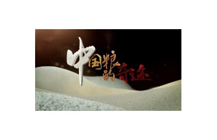 《中國糧的奇跡》系列報道： 第1集 活力土地