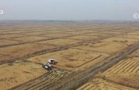 各地持續(xù)推廣綠色高效農業(yè)模式 帶動農戶增產增收