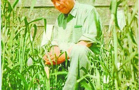 戴松恩：在祖國(guó)大地上煥發(fā)智慧光彩