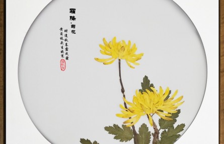 二十四節(jié)氣押花藝術鑒賞：《霜降·菊花》