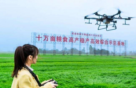 農(nóng)業(yè)品牌重磅文件接連發(fā)布 釋放哪些信號？