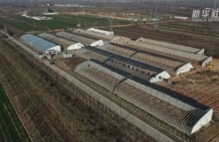 山西平陸：技術和人才賦能特色產業(yè) 拓寬農民增收致富渠道