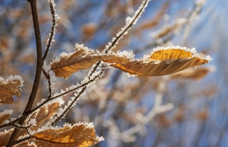辟謠 | 冷空氣活動頻繁，注意這幾個保健誤區(qū)