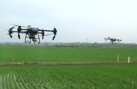 湖南臨湘：科技防控病蟲(chóng)害 助力早稻穩(wěn)產(chǎn)增產(chǎn)