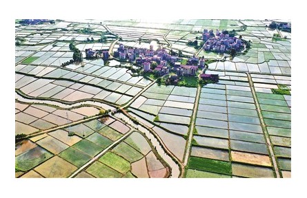 糧食生產(chǎn)如何應(yīng)對今夏“大烤”？