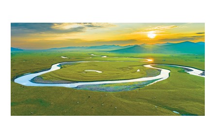 為什么大草原上樹很少？