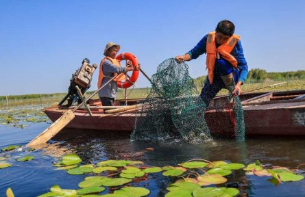 沿著河湖看新疆 | 新疆好地方，內(nèi)陸?zhàn)B“海鮮”