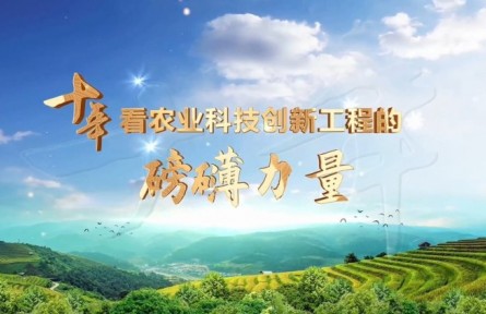 十年，看農業(yè)科技創(chuàng)新工程的磅礴力量