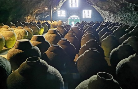 長江流域有哪些美食與美酒？